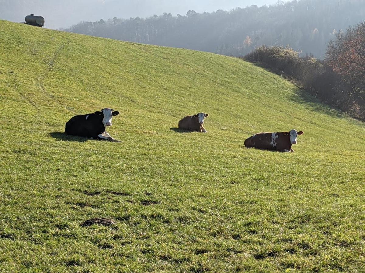 Ferienwohnungen Am Aeppelsberg Volkesfeld Luaran gambar